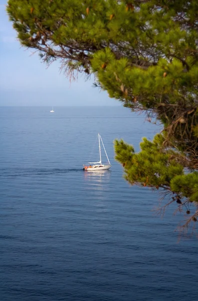 Barco à vela — Fotografia de Stock