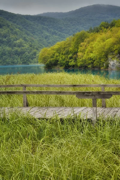 Ponte di legno — Foto Stock