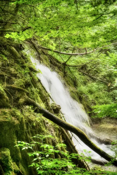 Krásné vodopády na Plitvická jezera — Stock fotografie