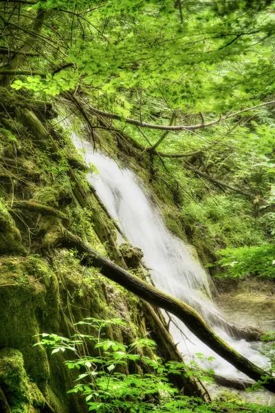 プリトヴィッツェ湖群で美しい滝 ストック画像