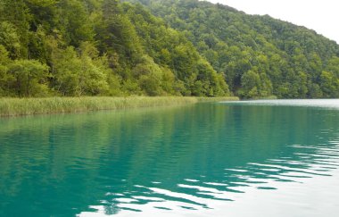 sabah güzel bir Yeşil Göl manzara