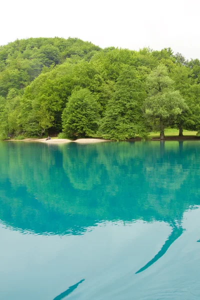 Paesaggio di un bellissimo lago verde al mattino — Foto Stock