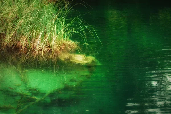 Natur bakgrund - landskap med en vacker sjö — Stockfoto