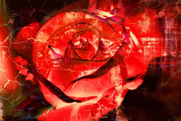 Czerwona róża - projekt streszczenie teksturowanej tło — Zdjęcie stockowe