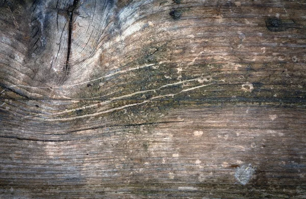 Измельченная деревянная текстура крупным планом — стоковое фото