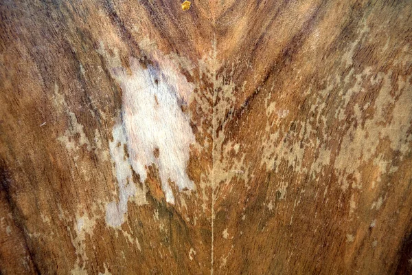 Grunge wooden texture or background — Stock Photo, Image