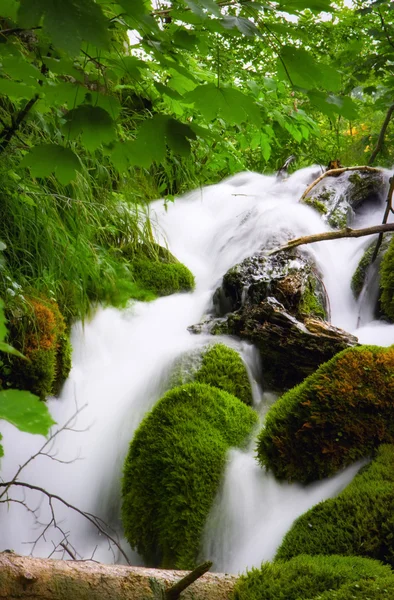 Schöne Wasserfälle im Nationalpark Plitvicer Seen — Stockfoto