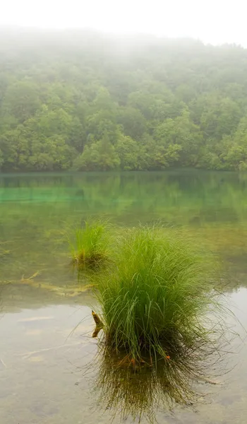 Paesaggio di un bellissimo lago in una giornata nebbiosa — Foto Stock