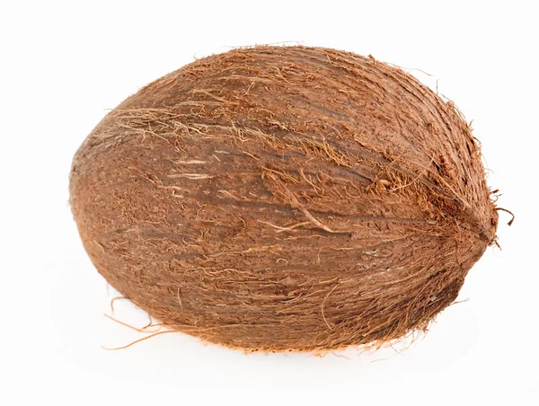 Estúdio de coco isolado em branco — Fotografia de Stock