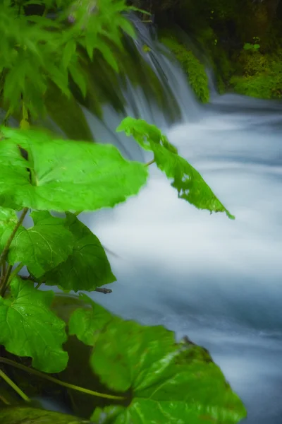 Schöne Wasserfälle im Nationalpark Plitvicer Seen — Stockfoto