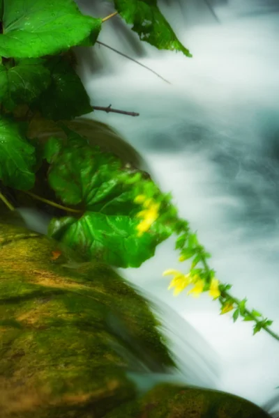 Krásné vodopády na Plitvická jezera — Stock fotografie