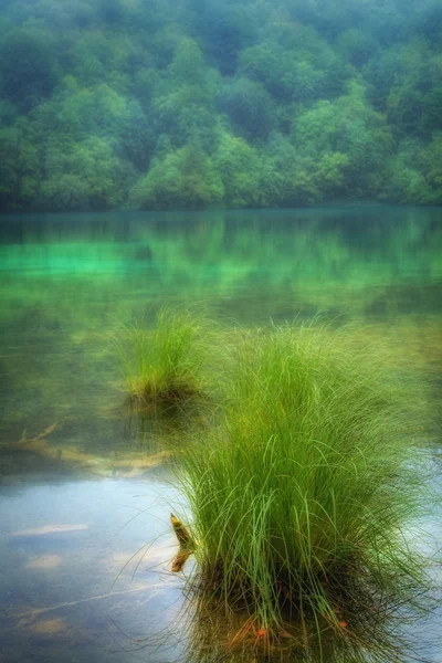 Natuur achtergrond - landschap van een prachtig meer — Stockfoto