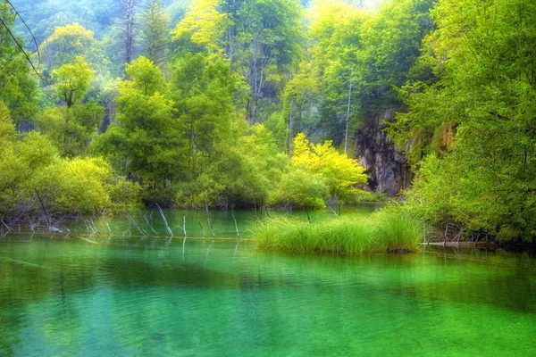 Beautiful lake in spring time — Stock Photo, Image