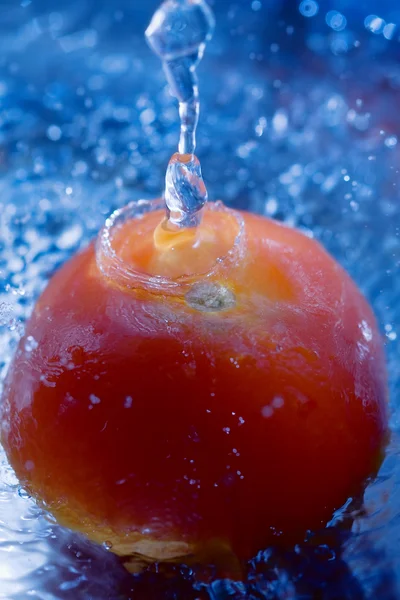 Tomaten — Stockfoto