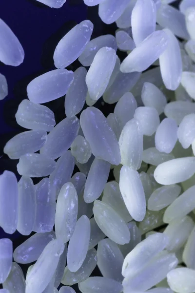 Rýže na černém pozadí v neonové světlo — Stock fotografie
