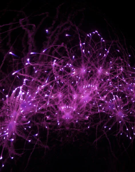 Fuochi d'artificio rosa sul cielo buio — Foto Stock