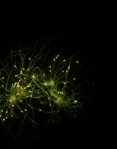 어두운 하늘에 불꽃놀이 — 스톡 사진