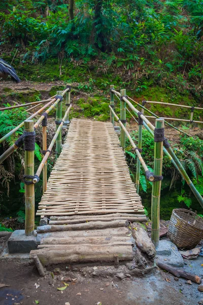 Il ponte di bambù in pioggia forrest — Foto Stock