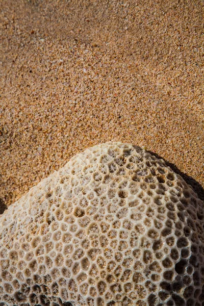 Mooie tropische zandstrand detail surfen — Stockfoto
