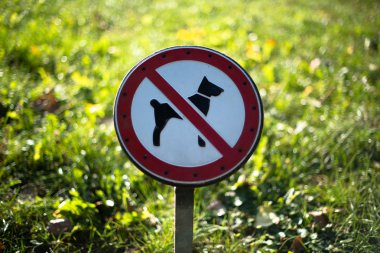 Köpekler imza atamaz.