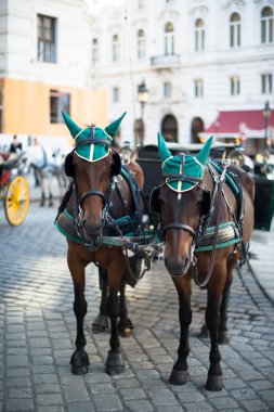 Horses and carriage, Vienna clipart