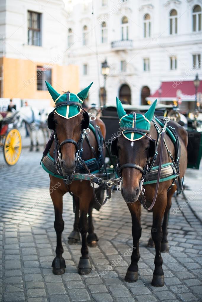 Horses and carriage, Vienna