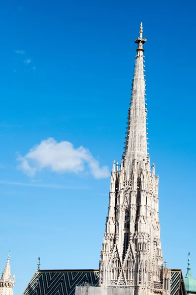 Rénovation de la cathédrale Saint-Stephan, Vienne, Autriche — Photo