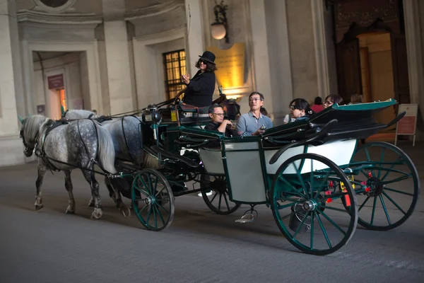 Horses and carriage, Vienna — Stock Photo, Image