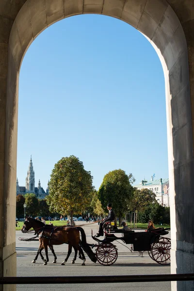 Horses and carriage, Vienna — Stock Photo, Image