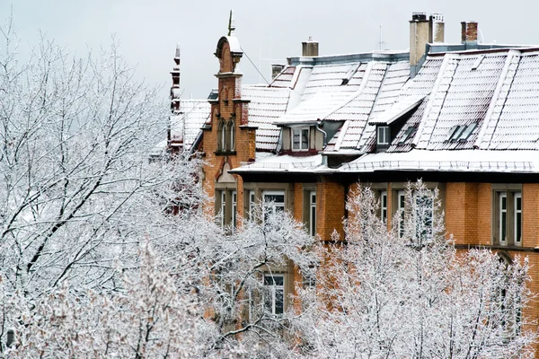 evler ve ağaçların taze kar