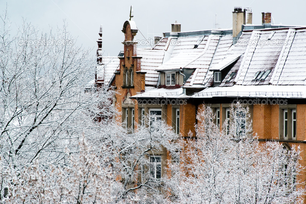 Houses and trees in fresh snow