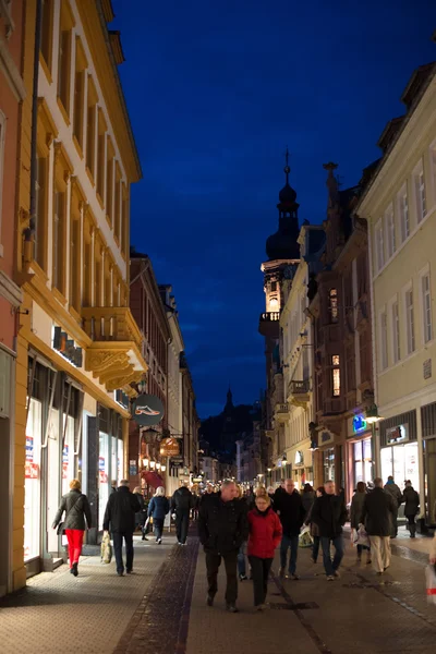 Heidelberg güzel binalar