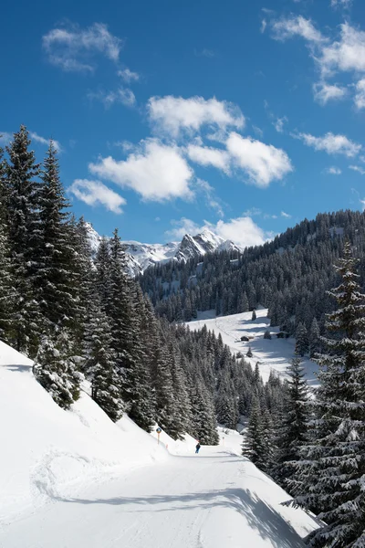 Narty Dolina Montafon — Zdjęcie stockowe