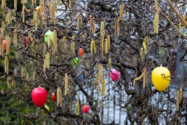 Osterbaum — Stockfoto