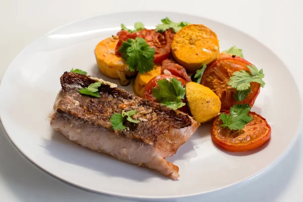 Red Snapper Filet — Stock Photo, Image