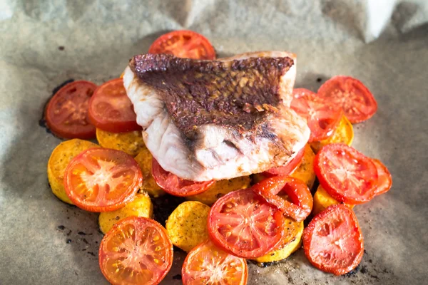 Red Snapper Filet — Stock Photo, Image