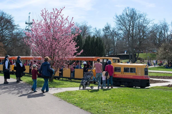 Killesberg Parkı, Stuttgart — Stok fotoğraf