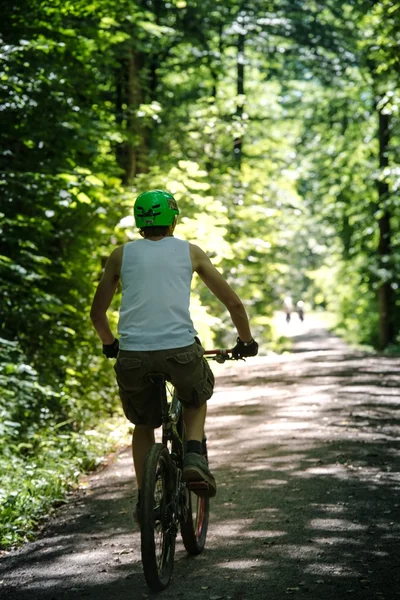 Junger Mann beim Mountainbiken im Wald — Stockfoto