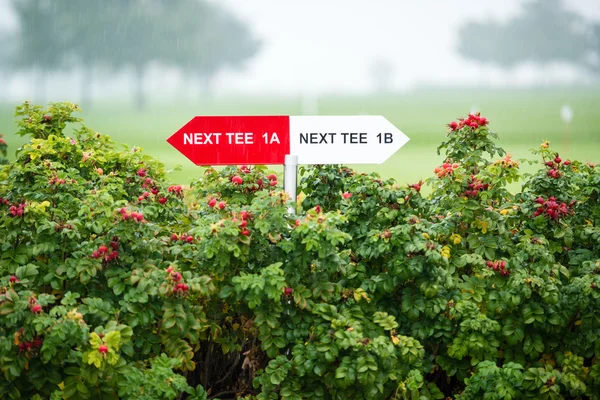 Next tee sign — Stock Photo, Image