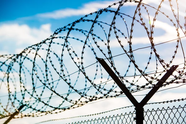 Fence with barbed wire — Stock Photo, Image