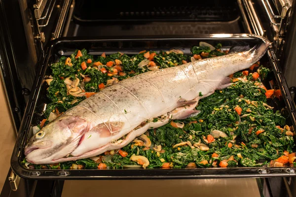 Filled salmon trout — Stock Photo, Image