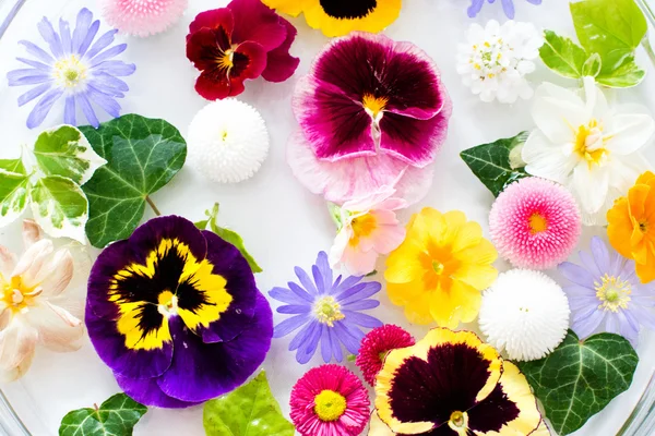 Picked Flowers — Stock Photo, Image