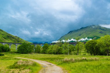 buharlı tren bilinen glenfinnan Viyadüğü üzerinde harry potter