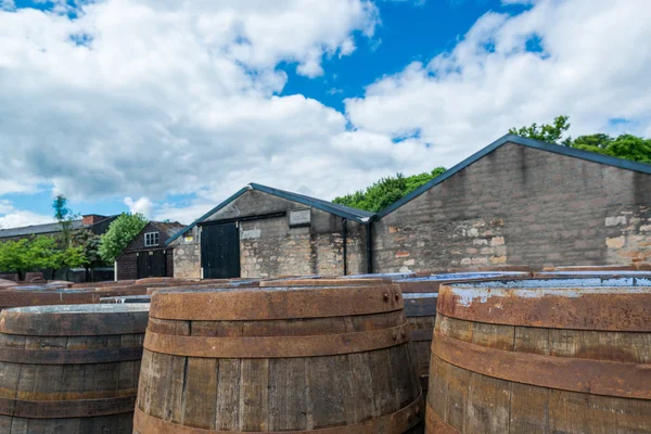 Barriles de whisky en una destilería escocesa — Foto de Stock