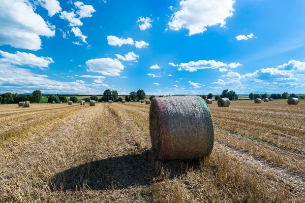 Hay bales on the field — Stock Photo, Image