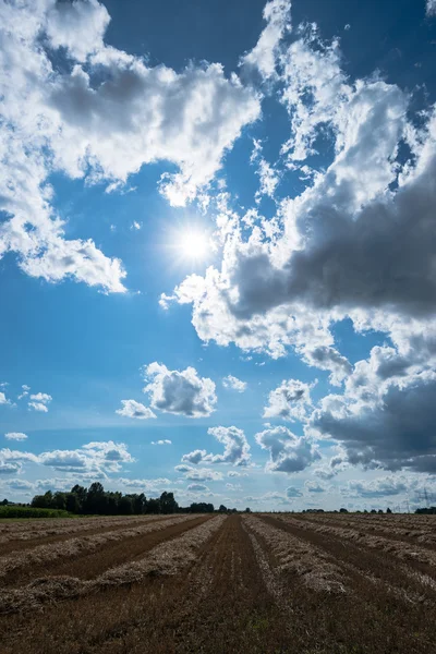 Cloudy sky and golden field after harvesting — Stock Photo, Image