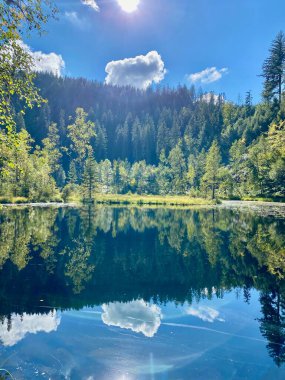 Ellbachsee Gölü, Kara Orman, Almanya