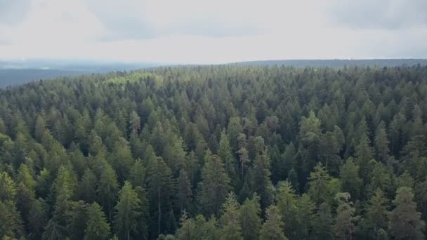 Black Forest Aerial by drone.