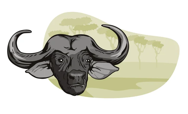 African Buffalo Retro — Stock Vector