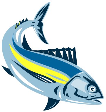 Albacore orkinos balık retro